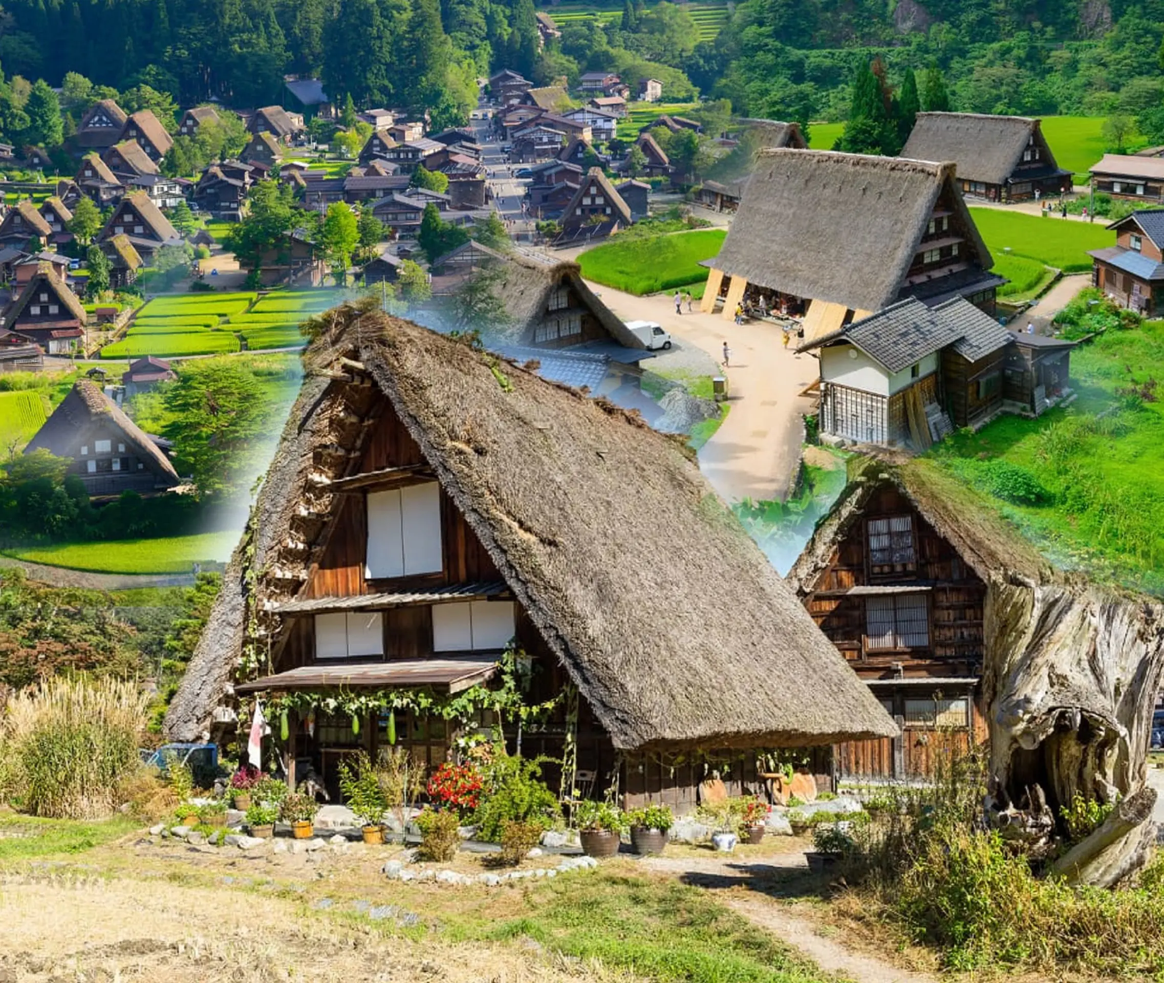 Shirakawago